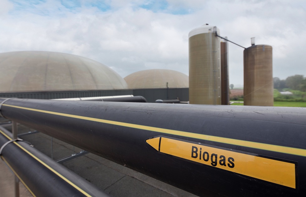 Energiemanagementsystem nach ISO 50001 für Biogasanlagen